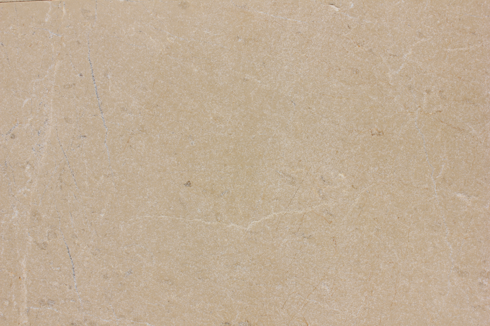 Crema Eda® Cafe Leather - Wet