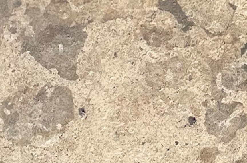 TAKOMA PAVERS