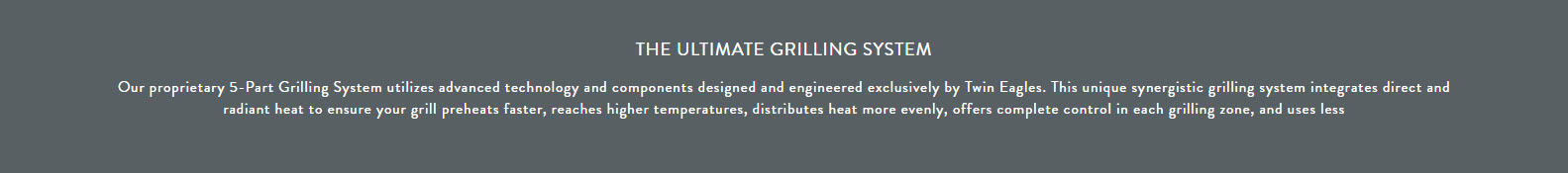 UltimateGrillingSystem Twin Eagles - The Ultimate Grilling System