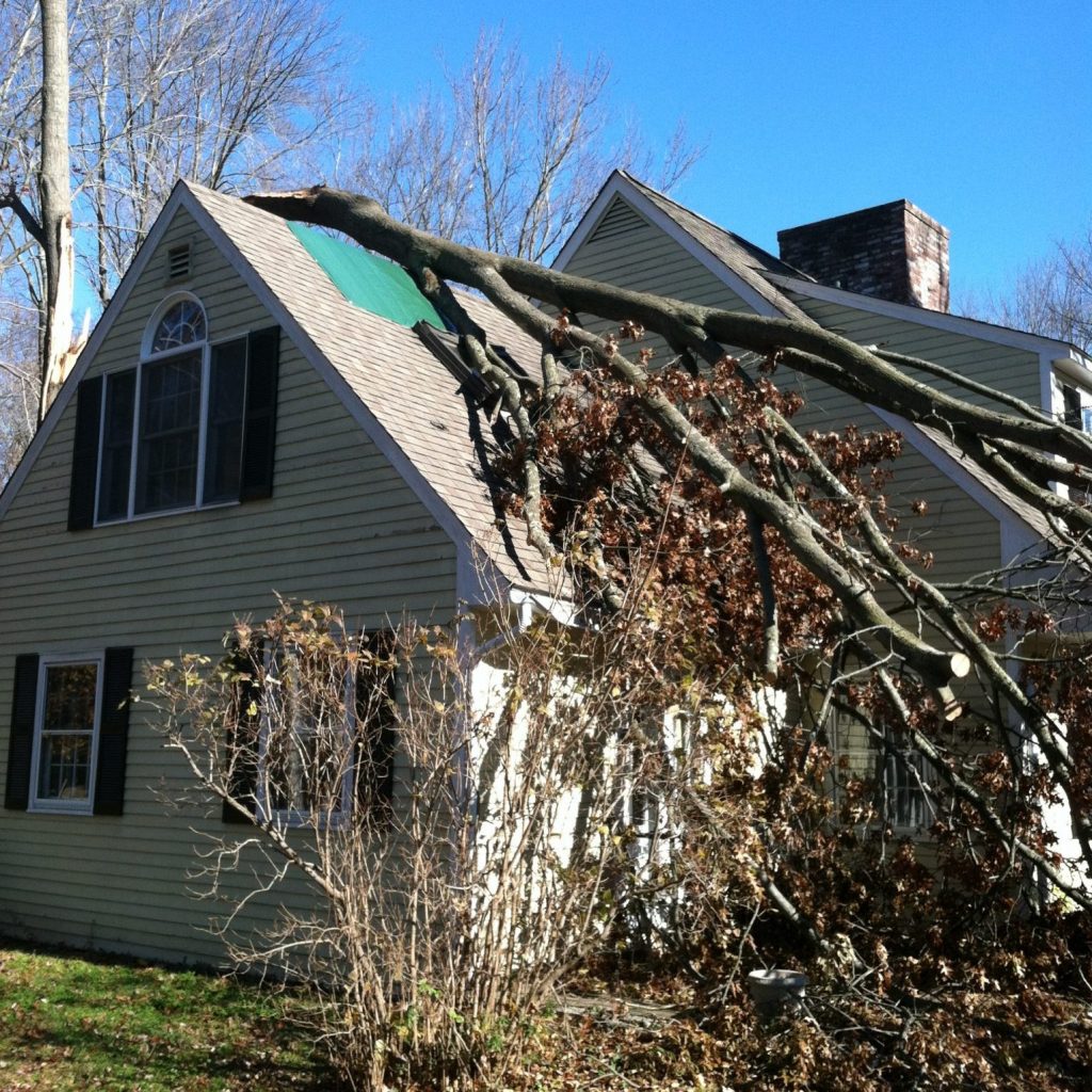 Emergency Tree Service