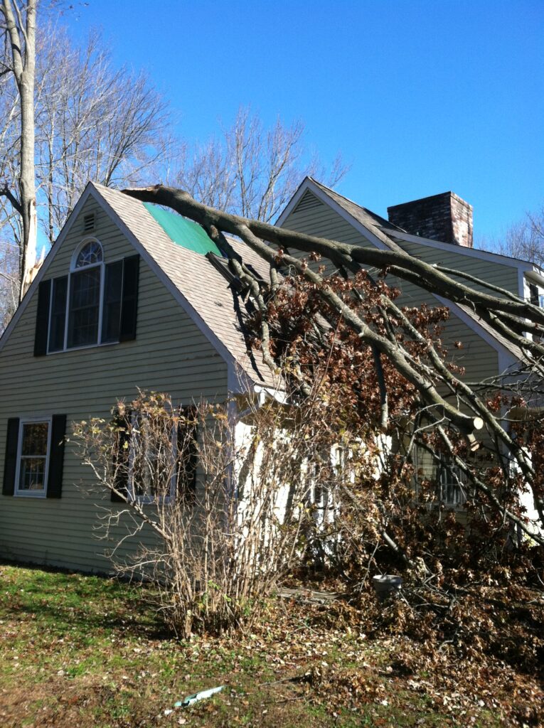 Emergency Tree Service