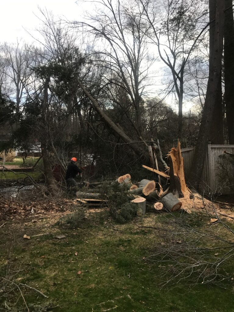 Land Clearing