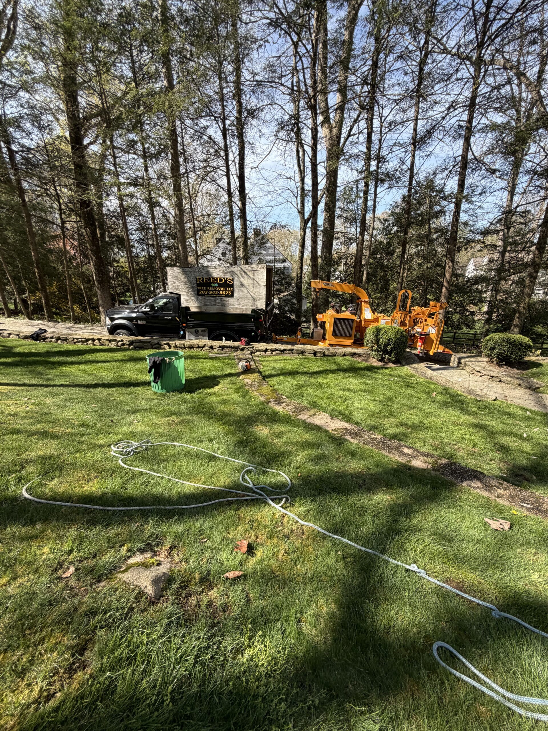 Expert Tree Removal Services in New Canaan, CT