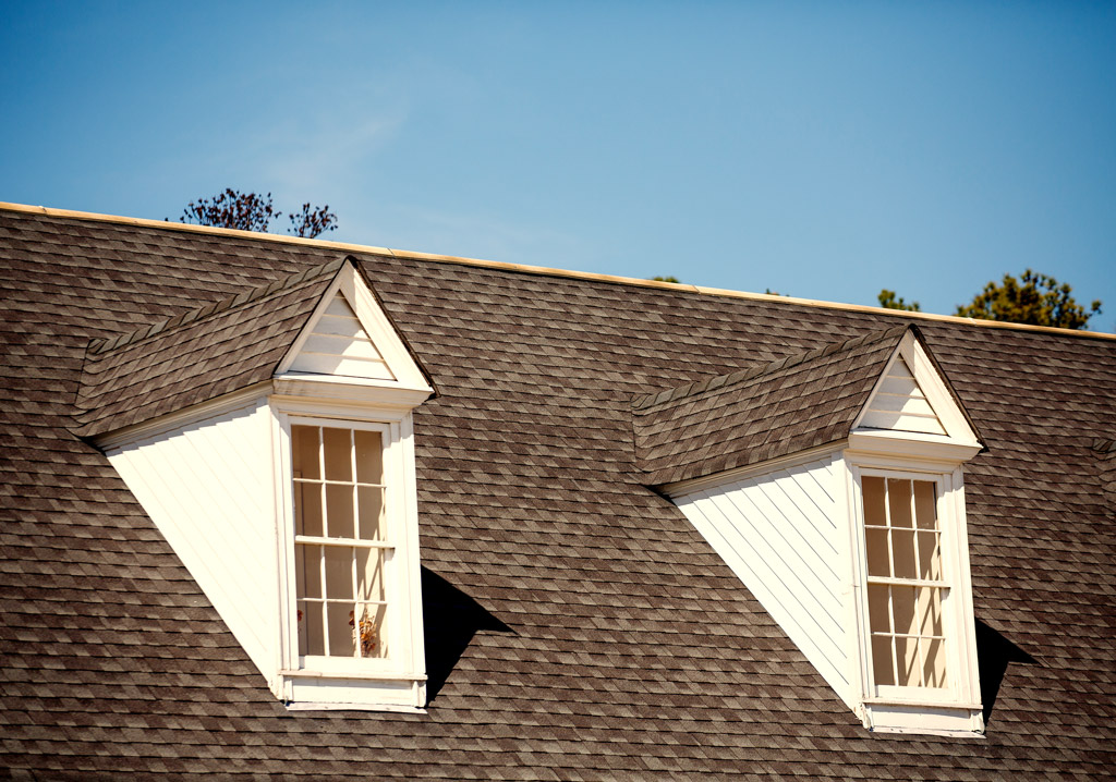 roofing roofing