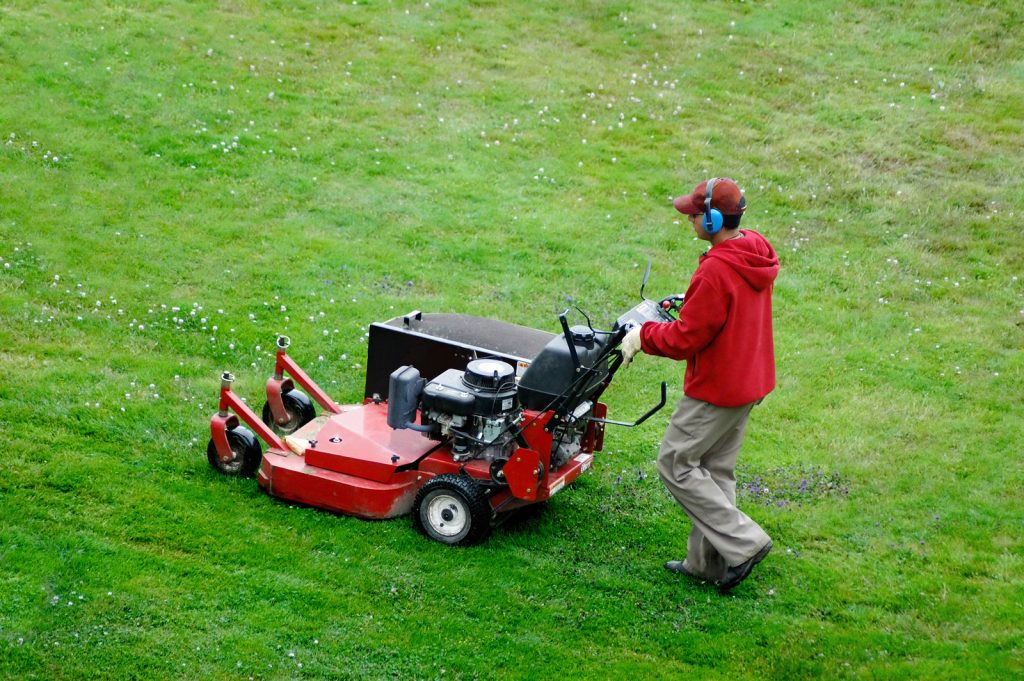lawn