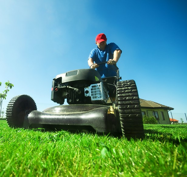 lawn
