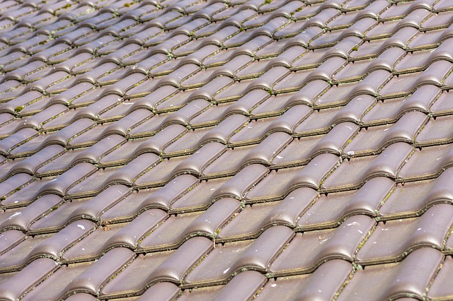 Choosing From Different Types of Roofing Materials 