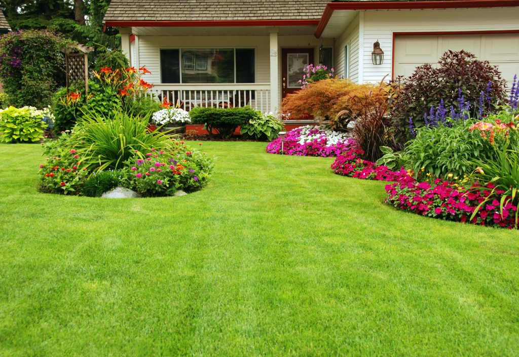 lawn