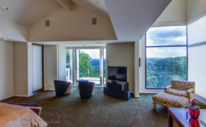 Richie Master View #2