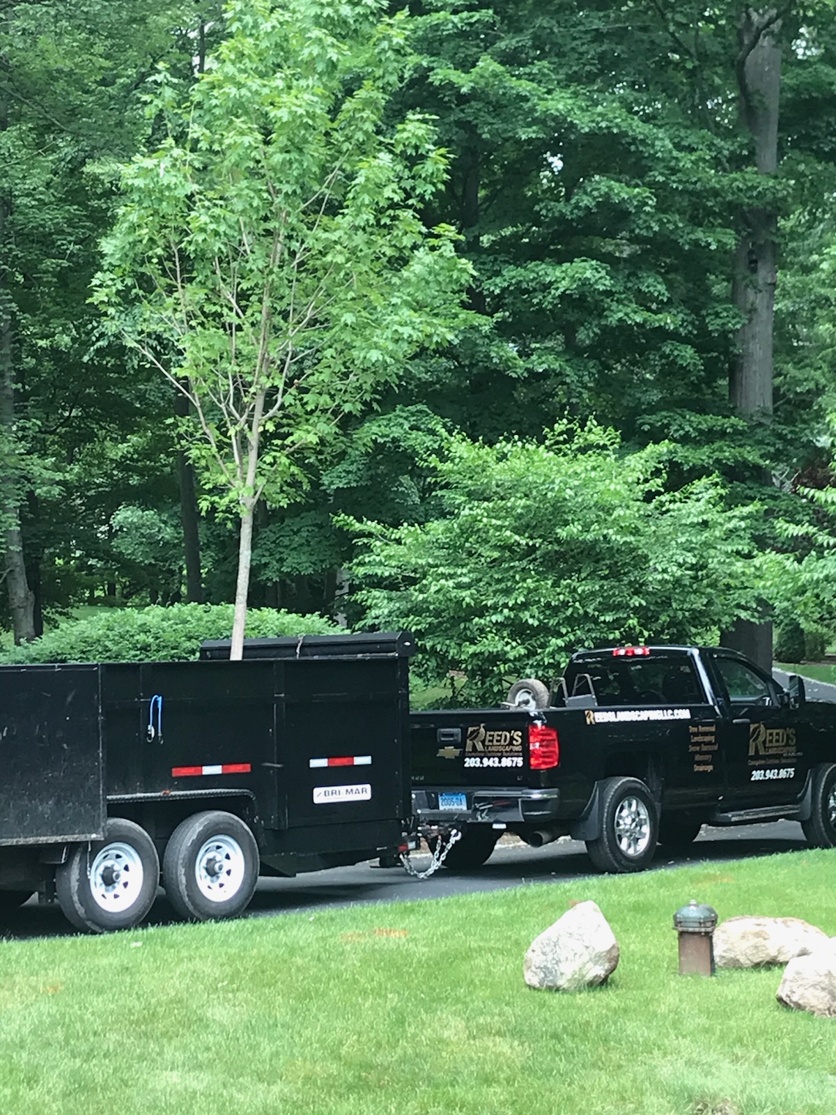 Professional Garden and Yard Cleanup in Stamford, CT