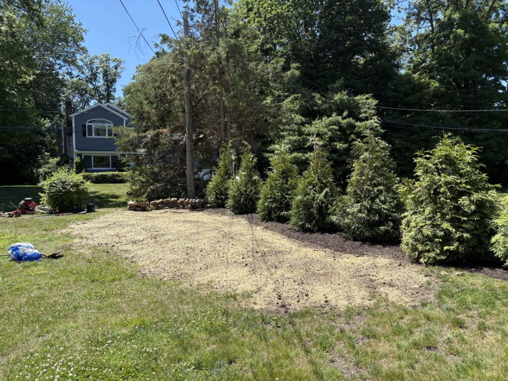 Aeration & Seeding