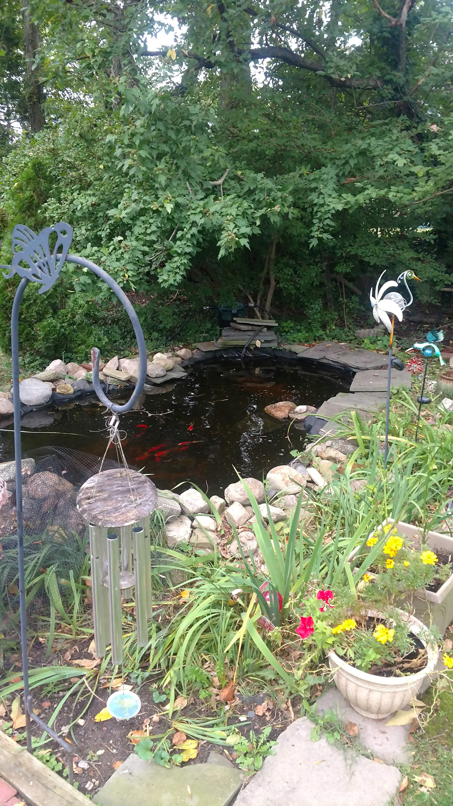 The Benefits of Adding a Stream to Your Pond