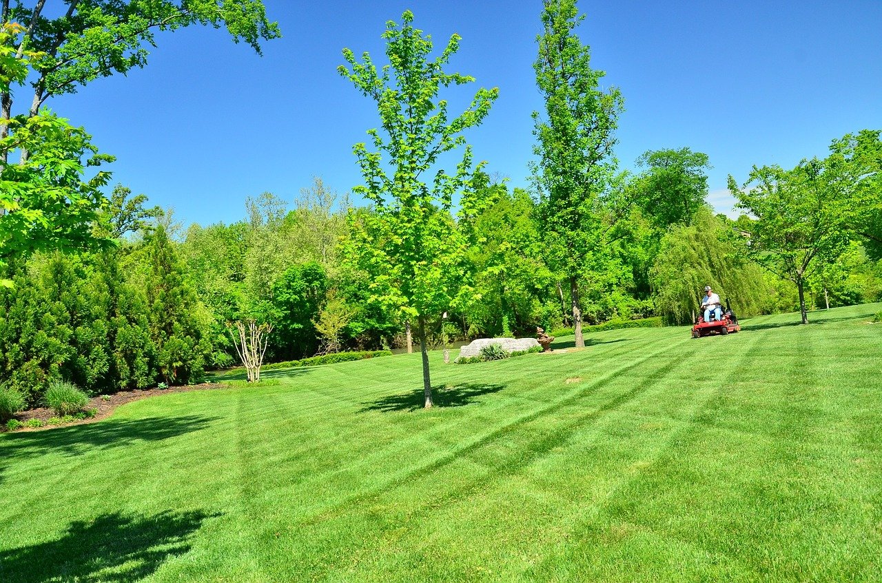 Choosing The Best Lawn Care Service Weiss Landscapes