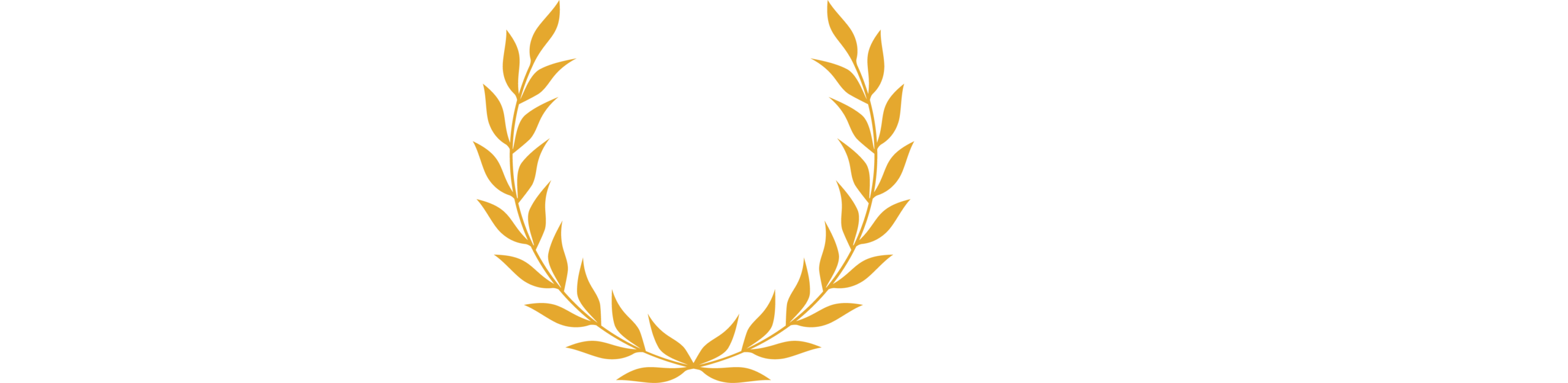 AE_Horizontal_Primary_White-Gold