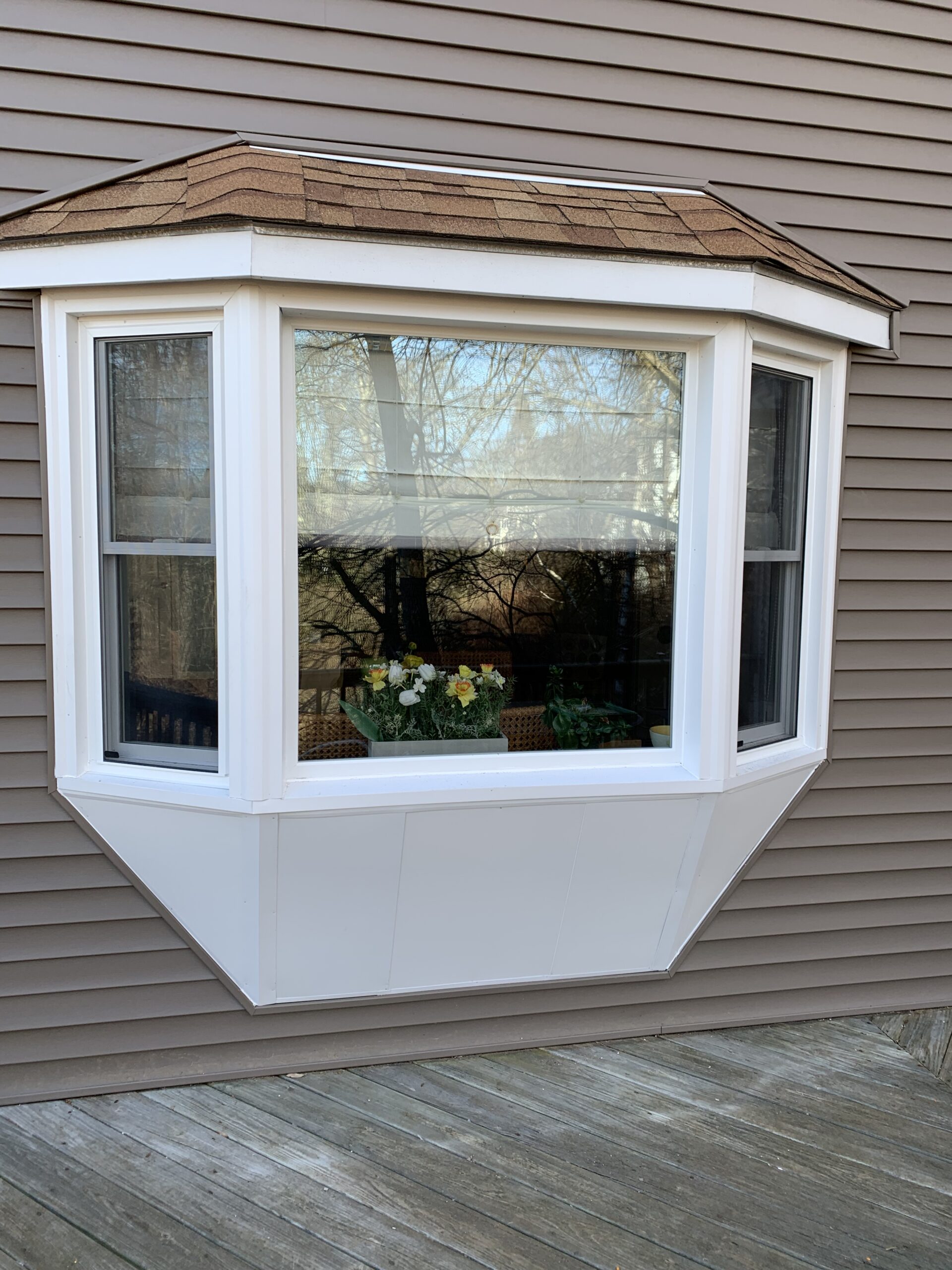 Bay Window